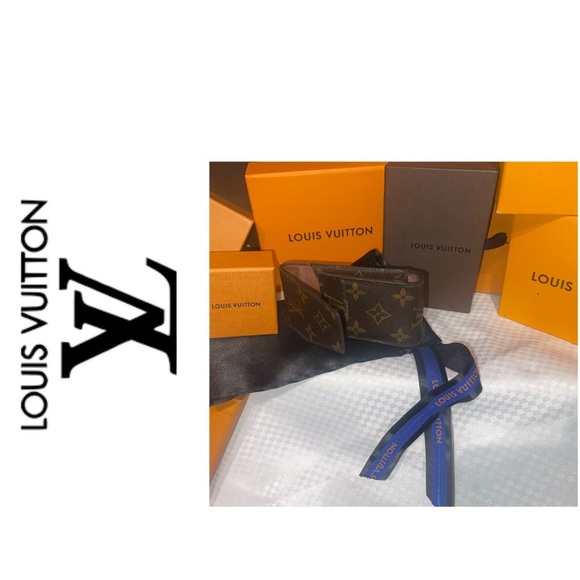 Louis Vuitton Logo Print Case. Satin Dust Bag. - Picture 1 of 9